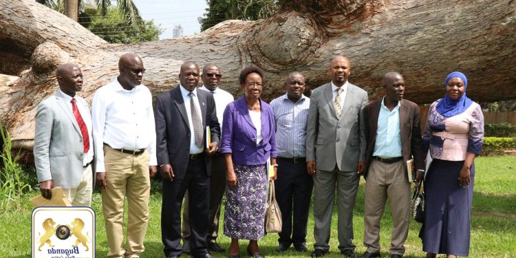 Obwakabaka butandise ku nteekateeka z’okuzzaawo omuti ogw’ebyafaayo