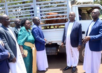 Omulangira Felix Muteesa agambye abakulembeze bo bwakabaka okulekera awo okutabika eby’obufuuzi mu bukulembeze bwabwe, bizizza nnyo obukulembeze bwa Ssabasajja emabega 