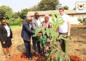 Minisita Mayanja Nkalubo asabye abantu okusimba emiti egivaako ebibala