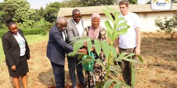 Minisita Mayanja Nkalubo asabye abantu okusimba emiti egivaako ebibala