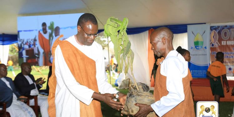 Asanyawo Obutondebwensi Mulabe wa Buwangwa