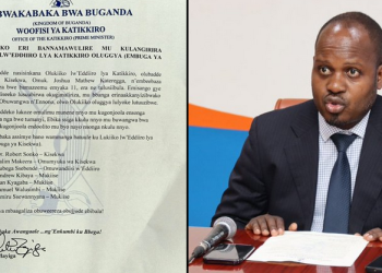 Beene asiimye naakola enkyukakyuka mu mbuga ya Kisekwa