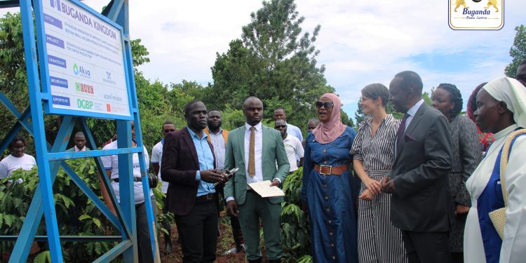 Batongoza ekyuma ekifukiriza amasanyalaze  g’ enjuba, Katikkiro asabye abalimi okwerinda omusana