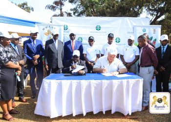 Obwakabaka busse omukago naba Green Pulse, buleese  ekigimusa okwongera omutindo ku mmwaanyi