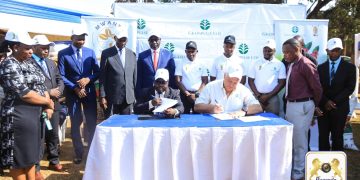 Obwakabaka busse omukago naba Green Pulse, buleese  ekigimusa okwongera omutindo ku mmwaanyi