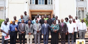 Empaka z’ omupiira gw’ Ebika zengedde, Engabi Ennyumba yakuggulawo n’ Akasimba