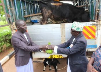 Bannabulemeezi naleese Amakula ga Beene