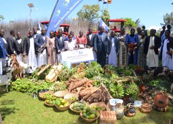  Abavubuka  batonedde Ssaabasajja Kabaka ebirabo mu kujaguza emyaka 70