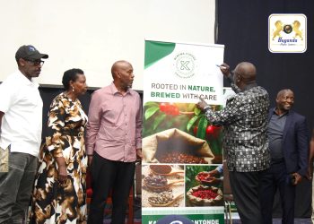 Lwaki Obwakabaka Bulemedde ku Mmwanyi?