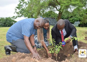 Okusimba Emiti mu Lubiri e Nkoni #EkibiraKyaKabaka