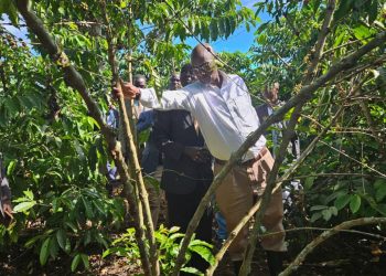Okulambula kwa Katikkiro e Ssingo: Minisita Kakomo asisinkanye abalimi