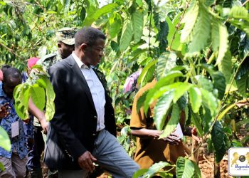 Omwaka gwa Mmwanyi Terimba 2025-2026 A Gutongozeddwa