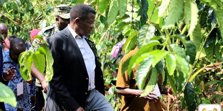 Omwaka gwa Mmwanyi Terimba 2025-2026 A Gutongozeddwa