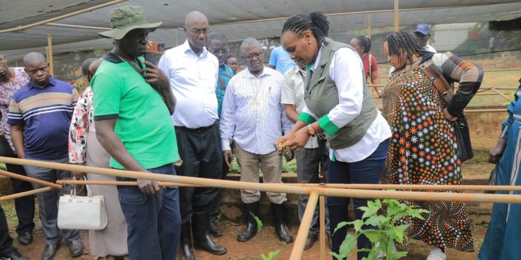 Abalimi bakubiriziddwa okwettanira okunonyereza