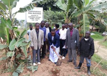 Okuddaabiriza Olubiri lwa Ssekabaka Ssuuna I