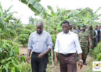Wuuno Omusirikale mu Bwakabaka alima emmwanyi