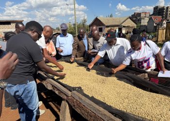 Obwegassi, Omutindo gw’emmwanyi e Kenya  bicamudde  abalimi abavudde e Buganda