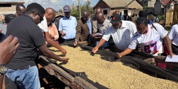 Obwegassi, Omutindo gw’emmwanyi e Kenya  bicamudde  abalimi abavudde e Buganda