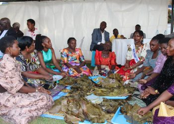 Obukulu bw’Olulimi Oluganda: Obwakabaka butegese Olujjuliro Kkuulaamalungi