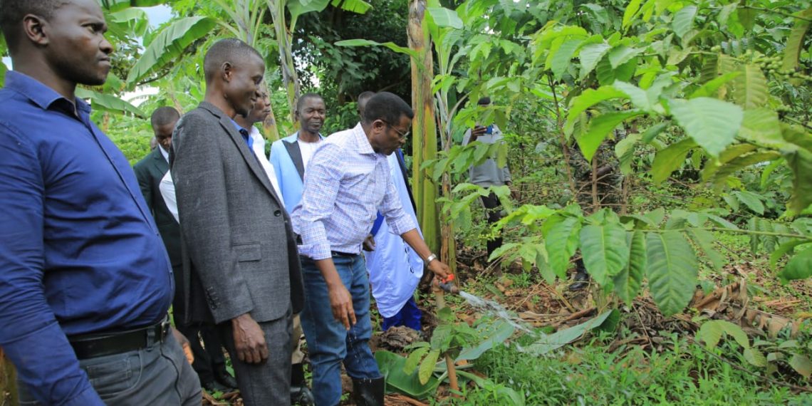 “Situla Omutindo” – Kaweefube wa Mmwanyi Terimba yeyubudde