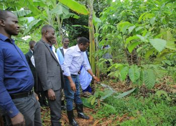 “Situla Omutindo” – Kaweefube wa Mmwanyi Terimba yeyubudde