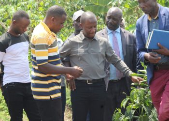 Abavubuka mukulaakulanye gye musibuka – Minisita Serwanga alambudde ab’e Buweekula