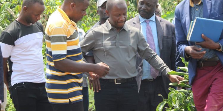 Abavubuka mukulaakulanye gye musibuka – Minisita Serwanga alambudde ab’e Buweekula