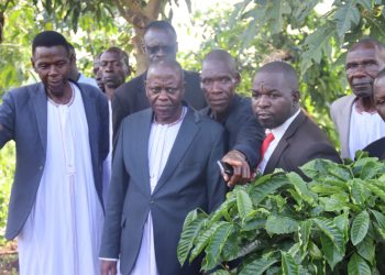 Minisita Wamala abakubirizza abeddira Enkula okwaŋŋaanga ebibasoomooza