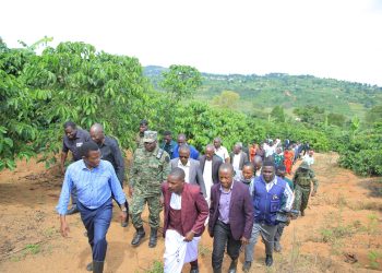 Katikkiro Mayiga alambudde abalimi b’emmwanyi n’amaka amateeketeeke e Buddu