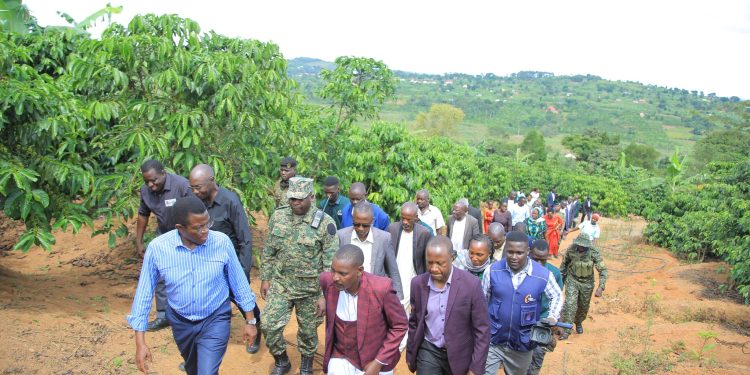 Katikkiro Mayiga alambudde abalimi b’emmwanyi n’amaka amateeketeeke e Buddu