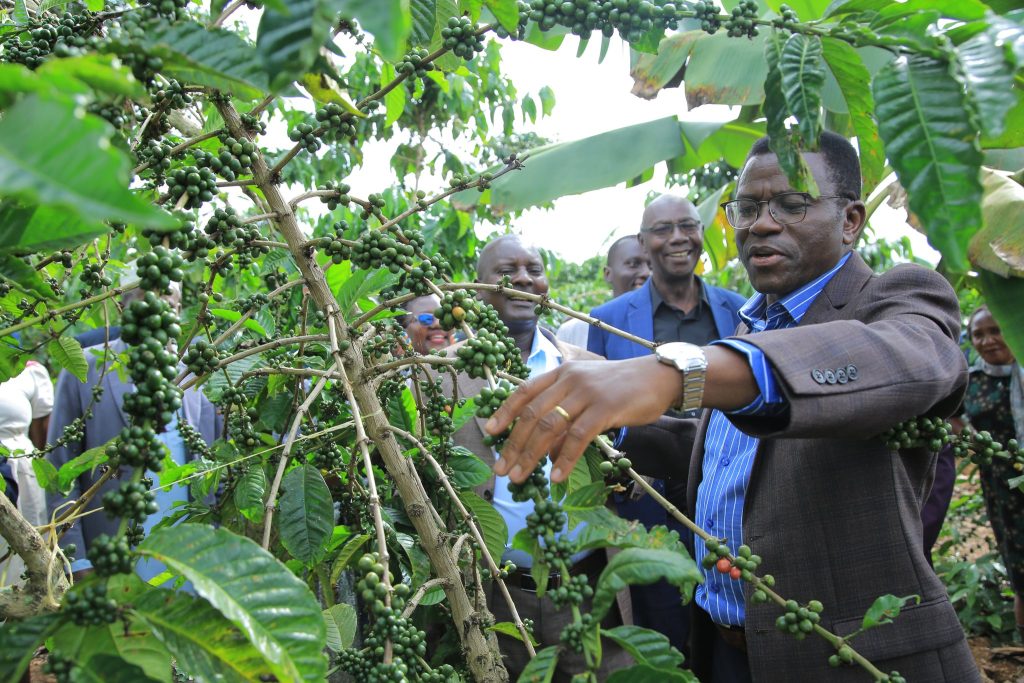 Katikkiro Mayiga alambudde abalimi b’emmwanyi n’amaka amateeketeeke e Buddu