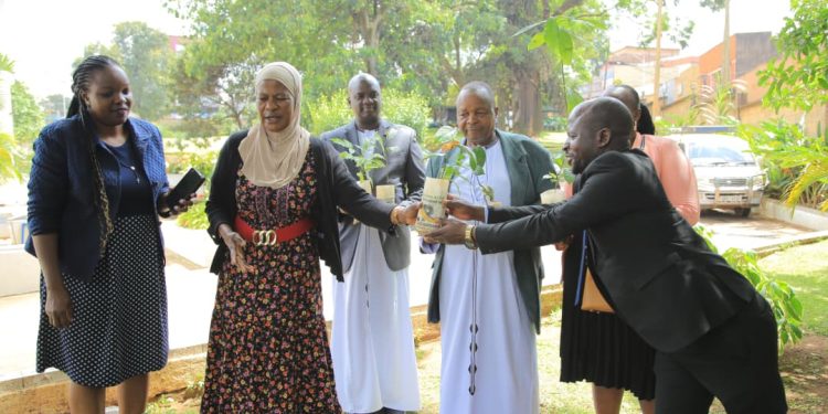 Obwakabaka butandise okugaba endokwa z’emiti mu butaka bw’Ebika