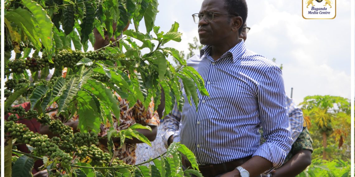 Situla Omutindo mu Bulemeezi: Katikkiro Mayiga atongozza Ente ya Kabaka