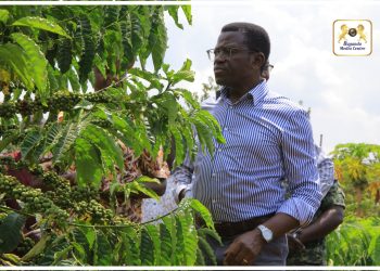 Situla Omutindo mu Bulemeezi: Katikkiro Mayiga atongozza Ente ya Kabaka