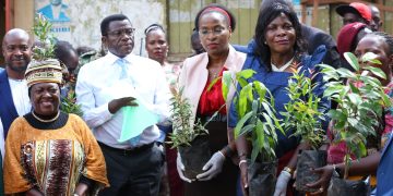 Okukuumira kasasiro mu kifo ekimu, kikuuma obuyonjo bw’ebibuga